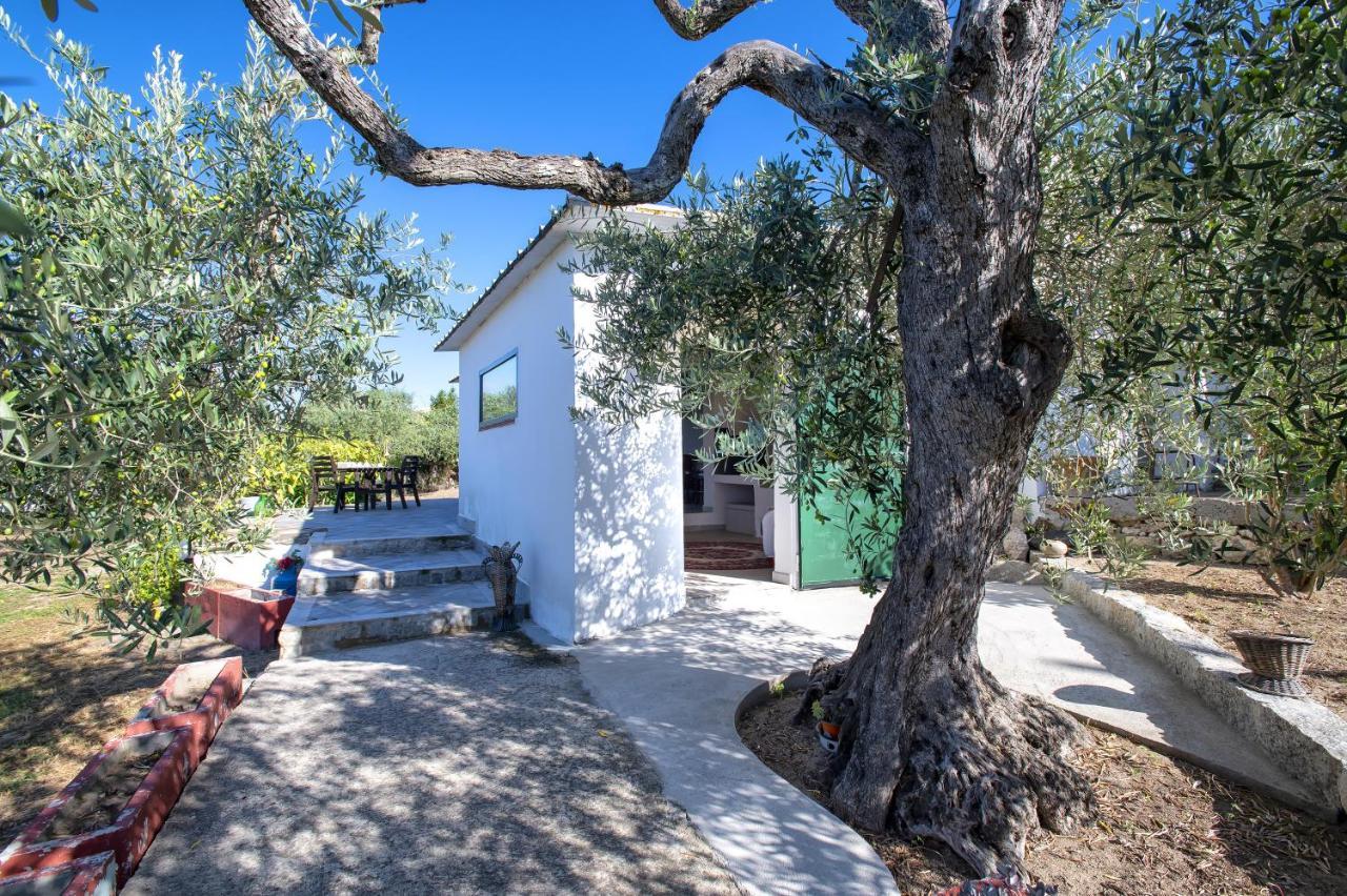 Casa Rina Villa Sassari Luaran gambar